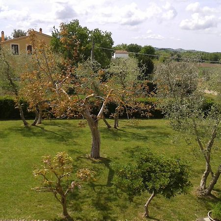 Il Punto Verde SantʼAntonio Dış mekan fotoğraf
