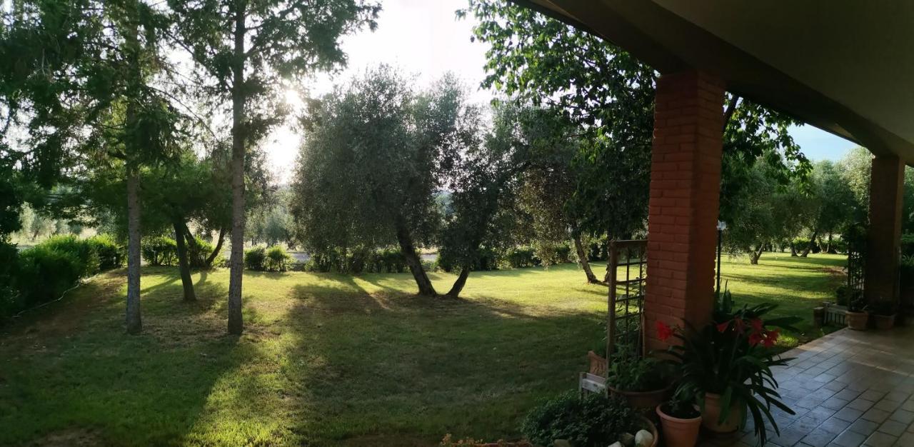Il Punto Verde SantʼAntonio Dış mekan fotoğraf