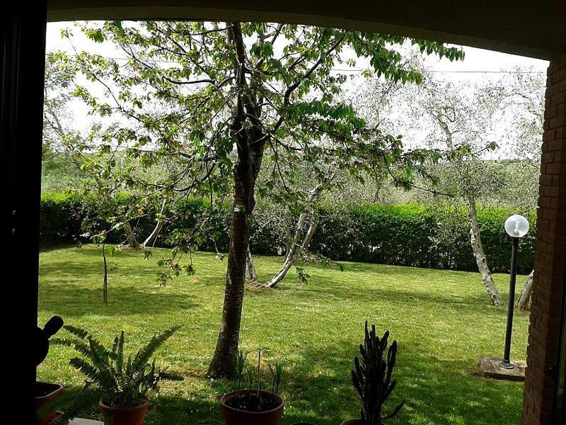 Il Punto Verde SantʼAntonio Dış mekan fotoğraf