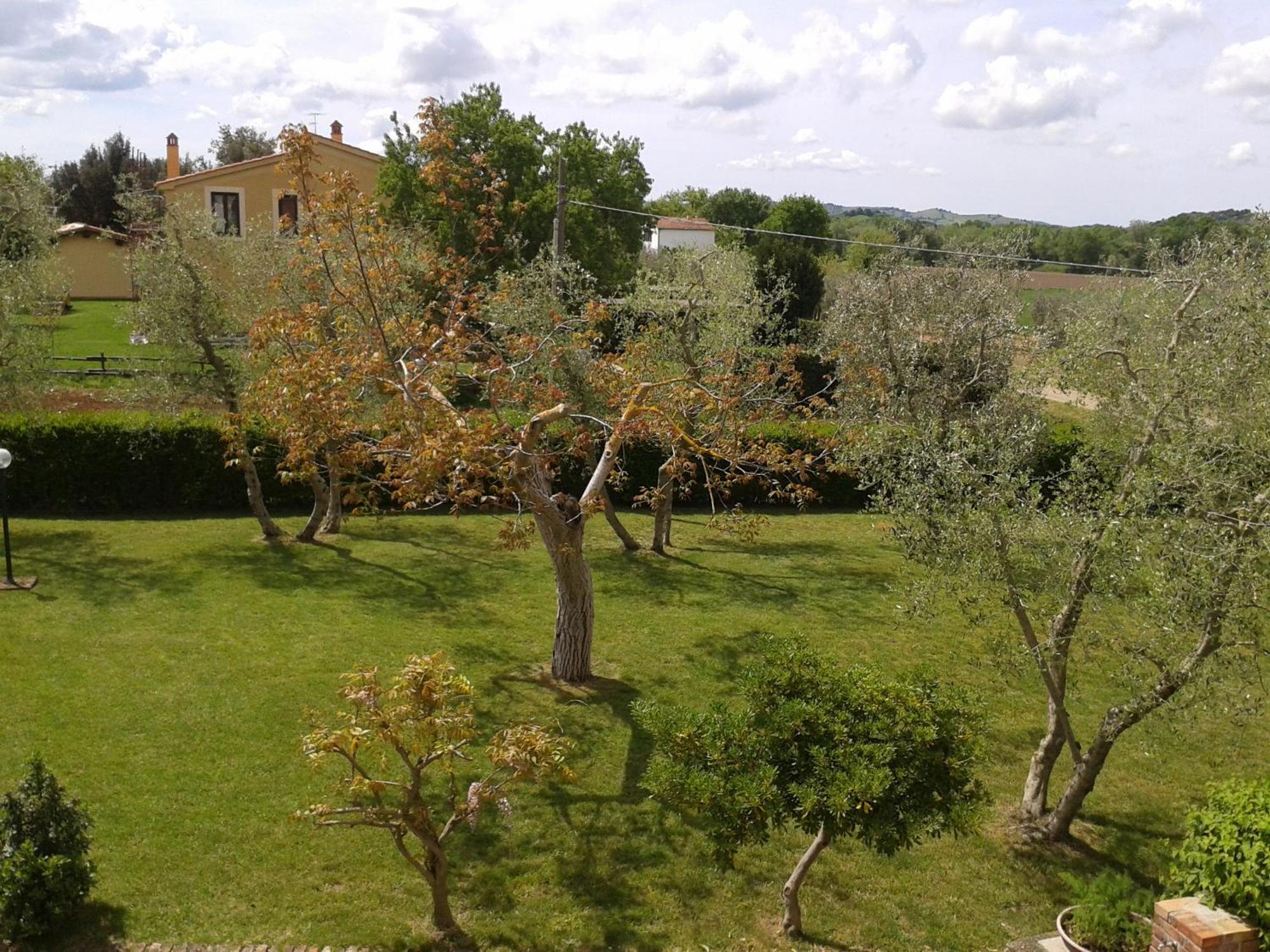 Il Punto Verde SantʼAntonio Dış mekan fotoğraf