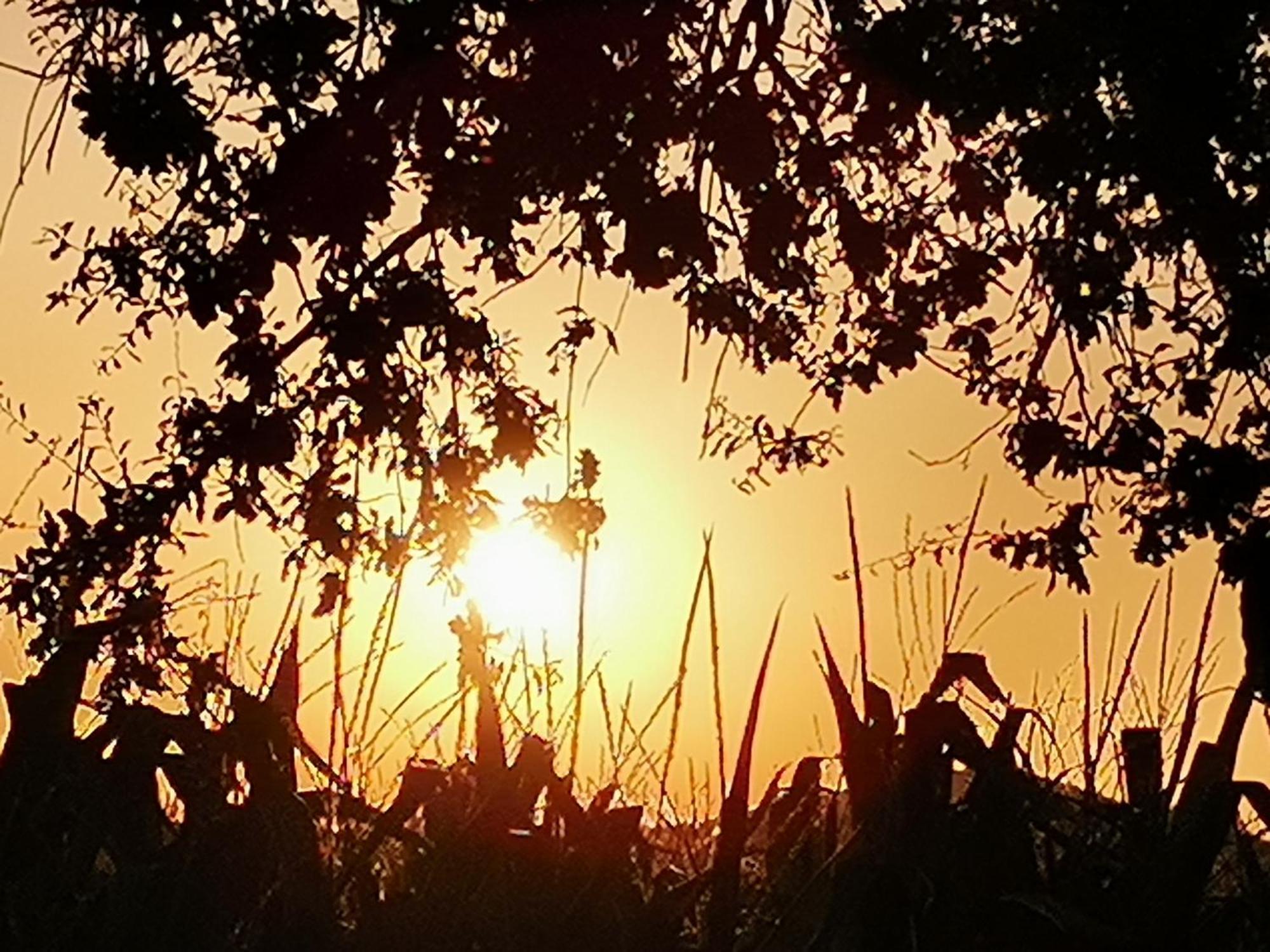 Il Punto Verde SantʼAntonio Dış mekan fotoğraf