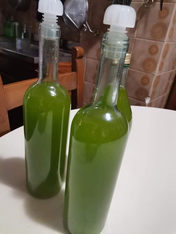 Il Punto Verde SantʼAntonio Dış mekan fotoğraf