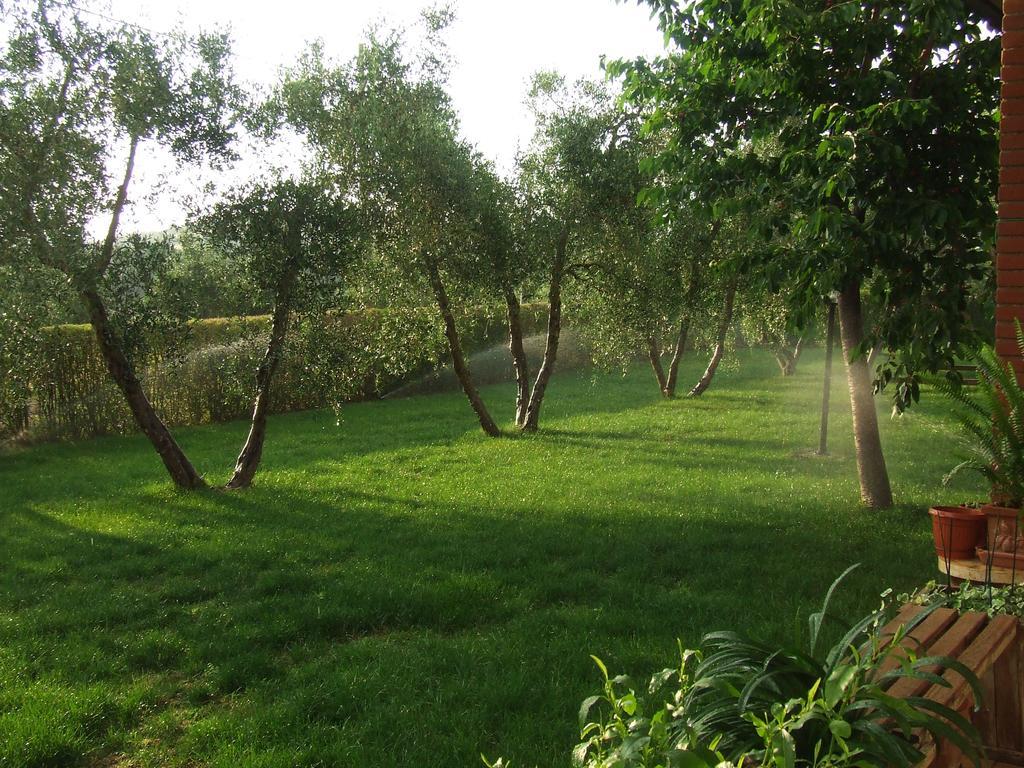 Il Punto Verde SantʼAntonio Dış mekan fotoğraf