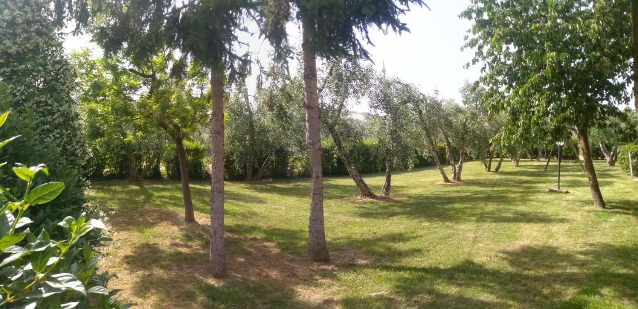 Il Punto Verde SantʼAntonio Dış mekan fotoğraf